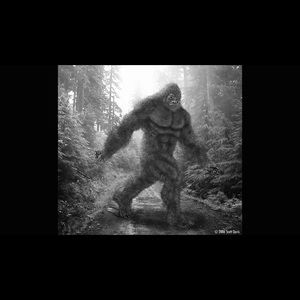 Meet your Posher, Rick